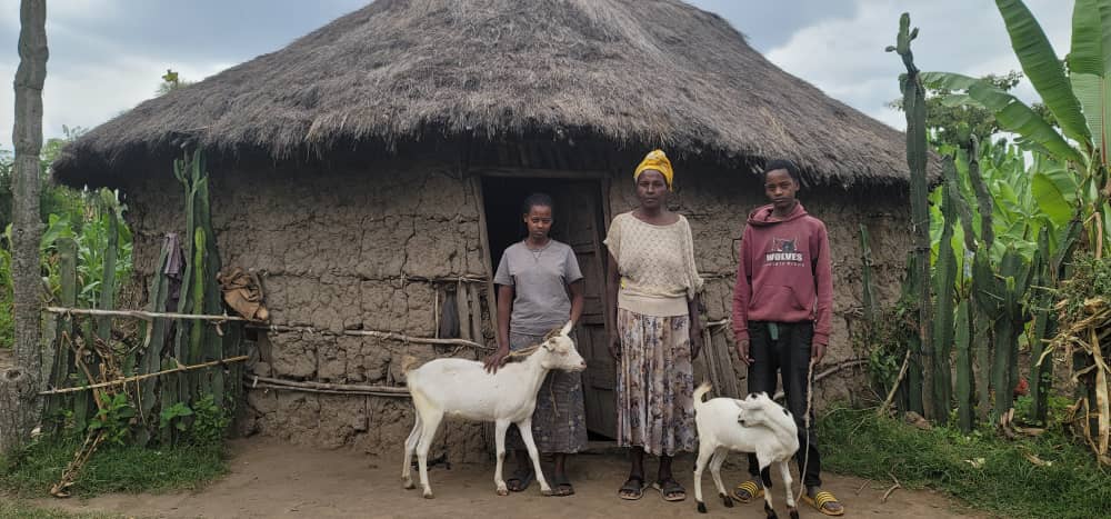 Empfänger mit Ziegen (3)