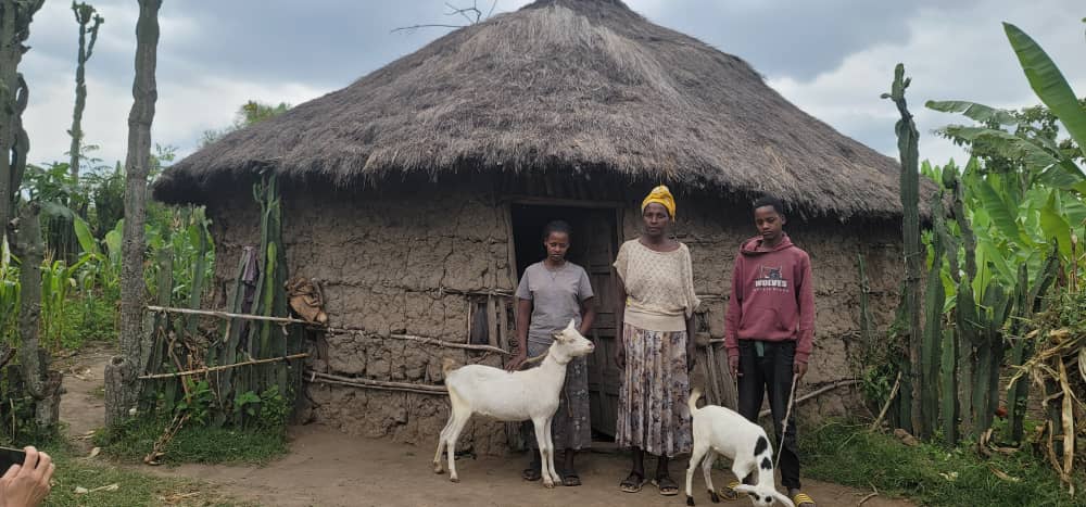 Empfänger mit Ziegen (2)