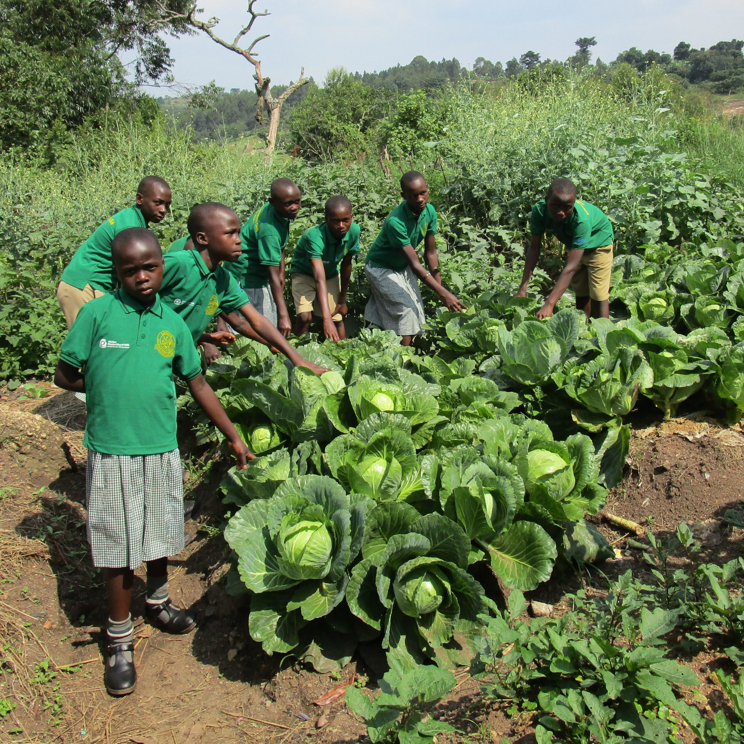 LandsAid_Ugandsa_StMarysPrimarySchool (1).1